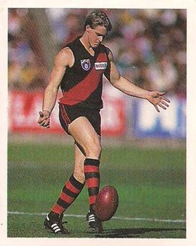 1993 Select AFL Stickers #87 Paul Hills Front